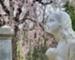 April 2015 - Pray Under the Cherry