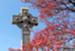 A Celtic Cross Dominates the Eastern Sky
