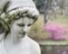 A Cornelian Cherry Dogwood and Japanese Cherry are suitable backdrops for beautiful marble sculpture.