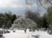 February 2015 - Iced Dogwood