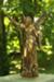 The glow of a bronze angel