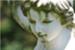 Angel & Algae Contrast