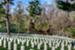 The Bivouac of the Dead - Cave Hill National Cemetery