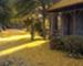 September 2015 - The Ginkgo's Fall Relief